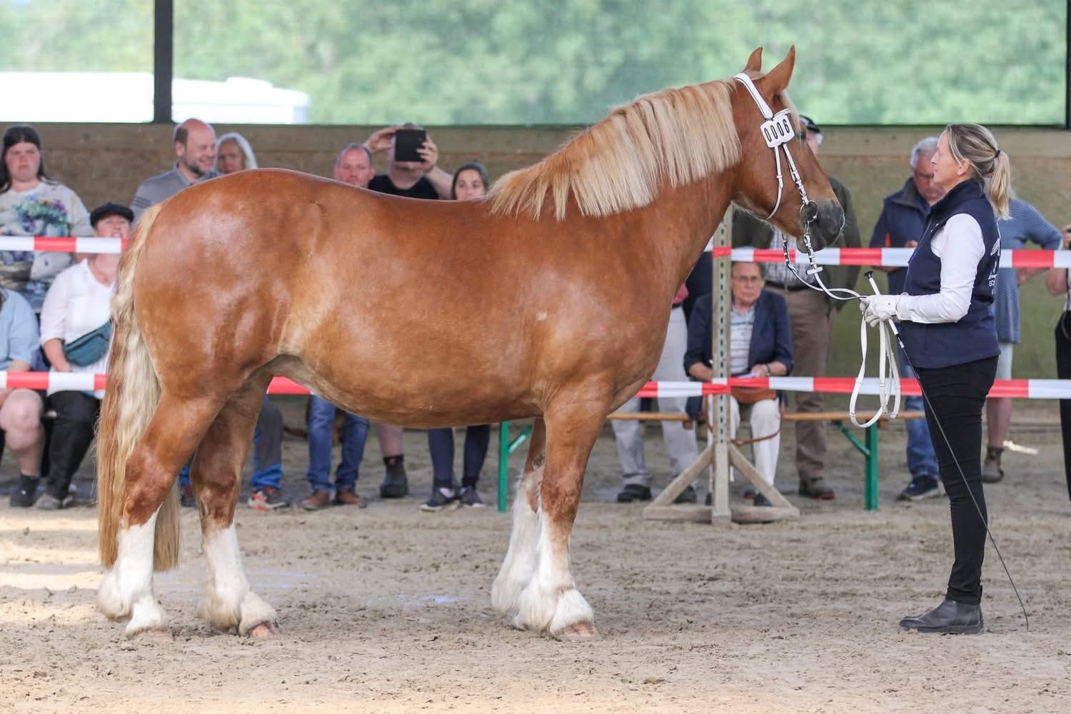 Skovsgaard Ronja Avler: Jacob Og Helle Kjeldsen  Ejer: Fru Marscheider 